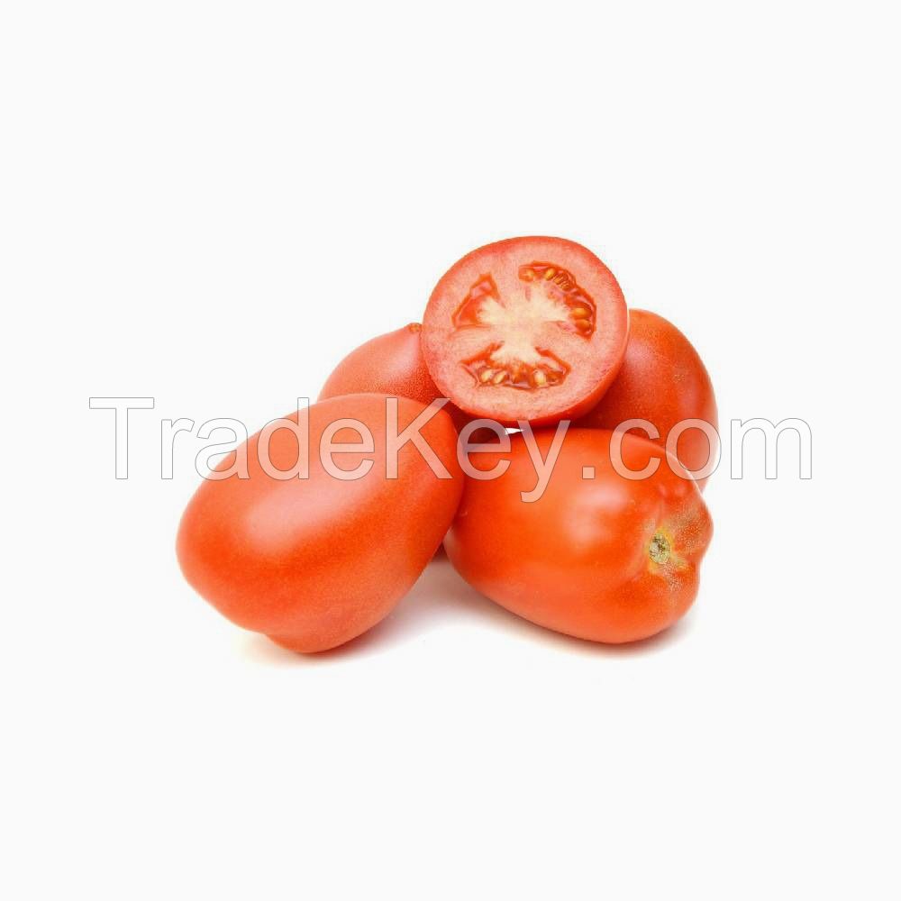 Wholesale fresh tomatoes for grocery stores and markets