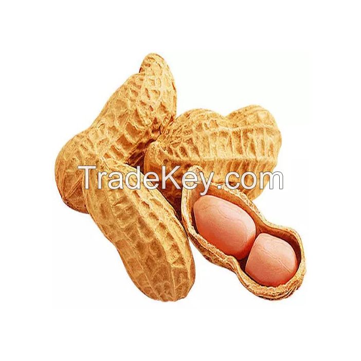 Organic peanuts for natural and chemical-free consumption