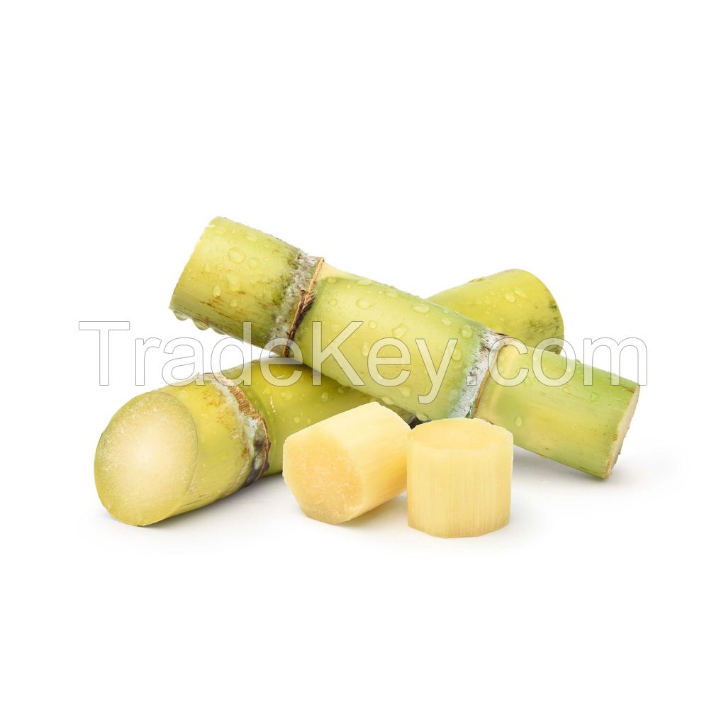 Affordable sugarcane available in bulk quantities