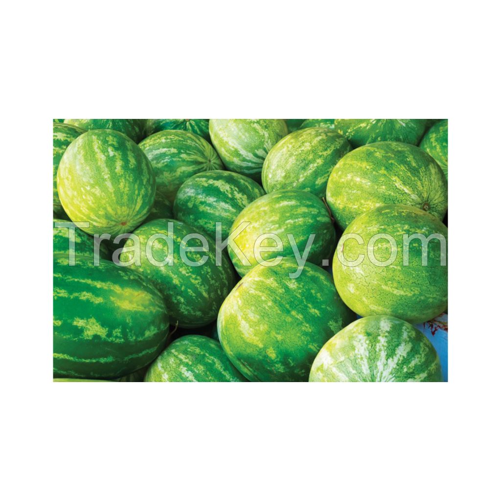 Wholesale watermelons for supermarkets and grocery stores