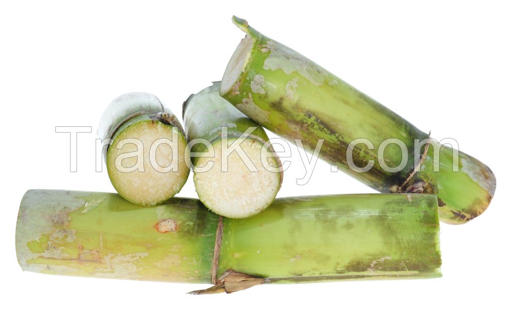 Organic sugarcane grown without harmful chemicals
