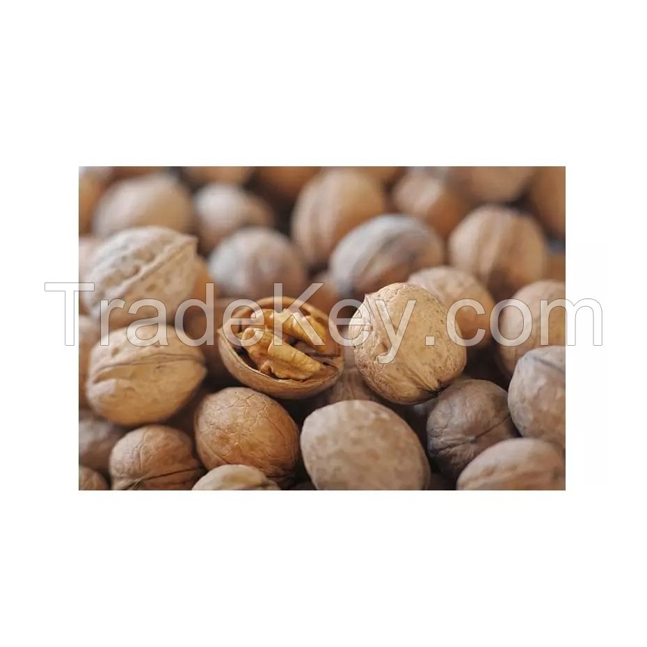 Whole and broken walnuts available for different applications