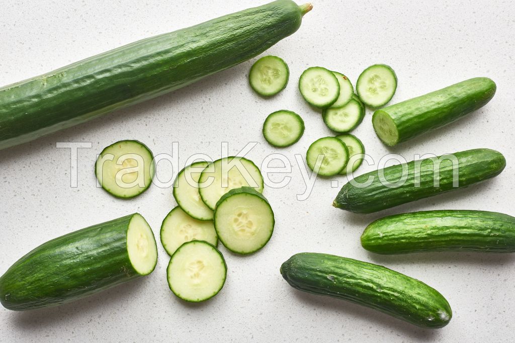 Locally sourced cucumbers for farm-to-table freshness