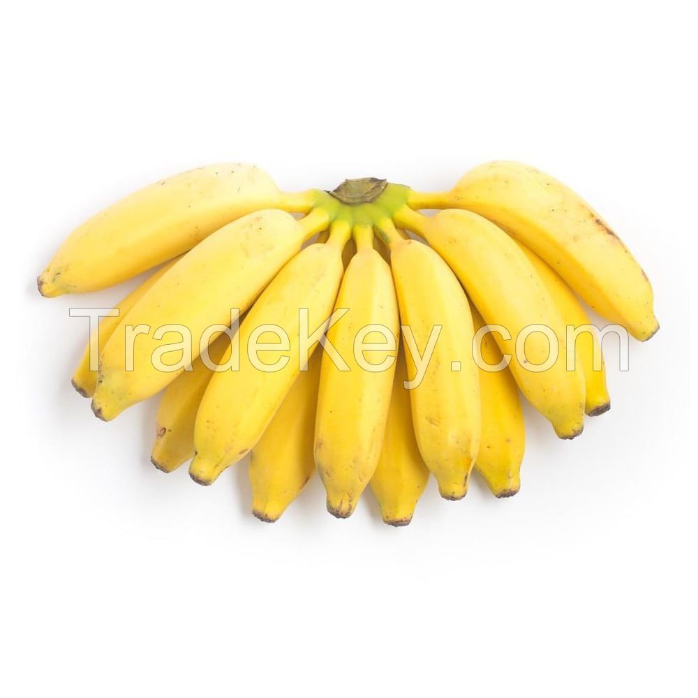 Fresh bananas for sale at a wholesale price