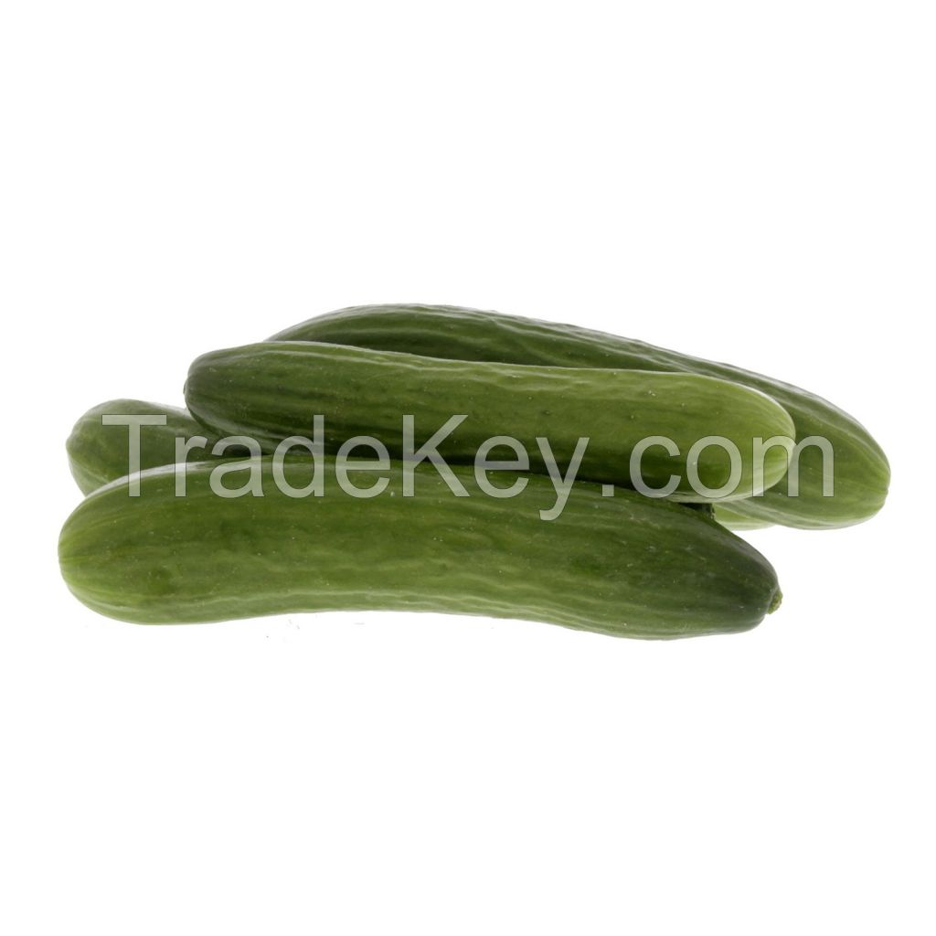 Locally sourced cucumbers for farm-to-table freshness