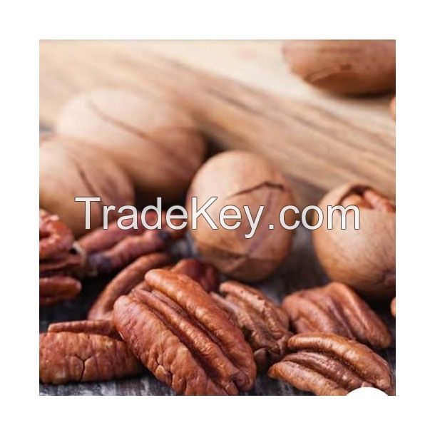 Wholesale pecan nuts for export and large-scale supply