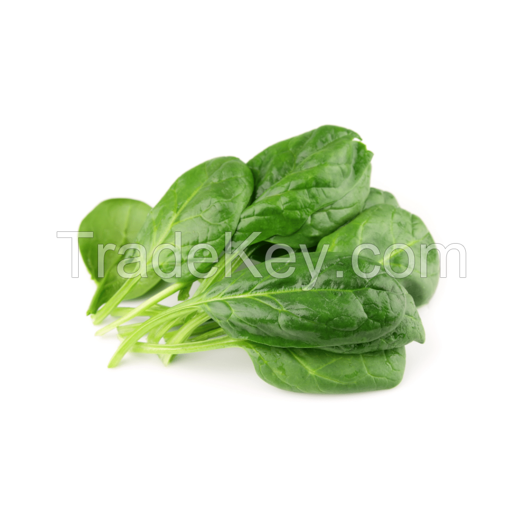 Nutritious spinach packed for supermarkets and retailers