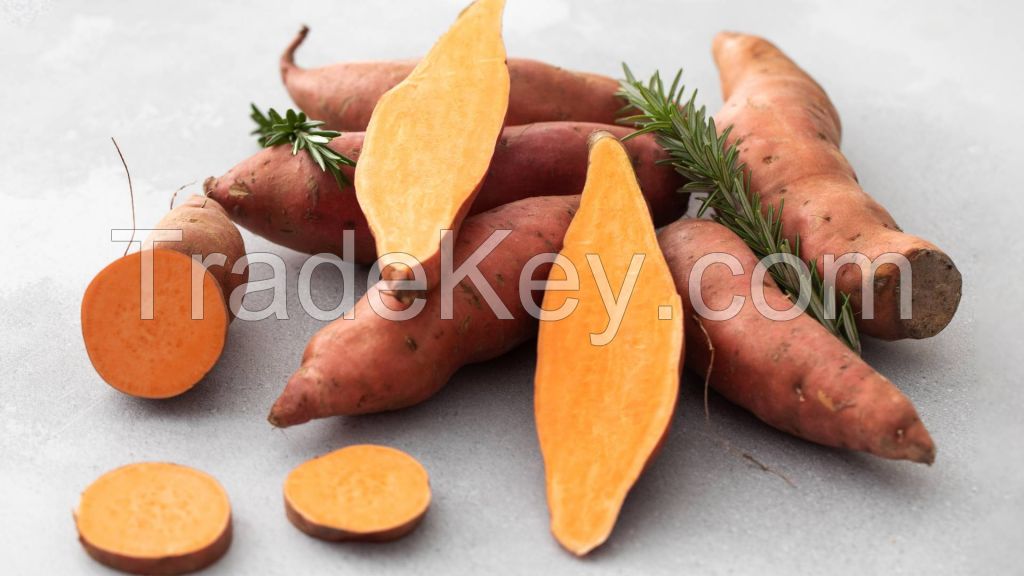 Nutritious sweet potatoes packed for supermarkets and retailers