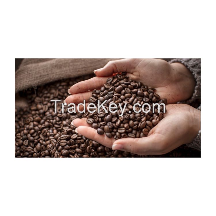 Organic Coffee Beans For Cafes And Specialty Stores