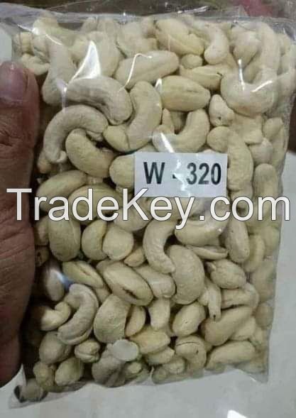 CASHEW NUT IN SHELL