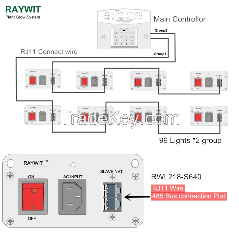 RWL218-S640P