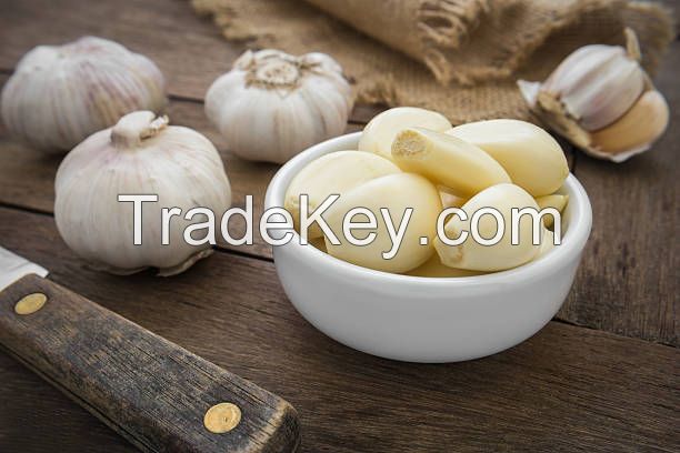 Garlic