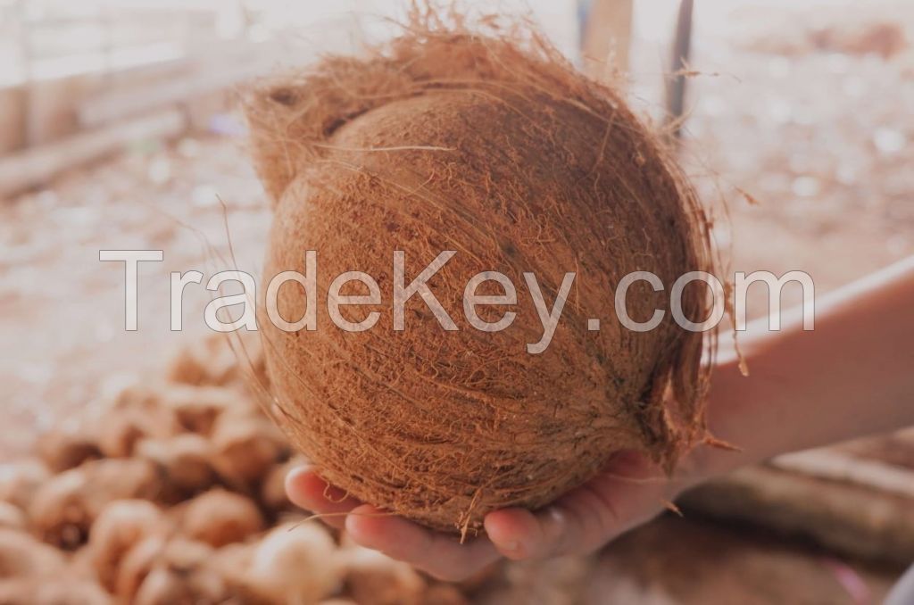 Semi/Husked Coconut