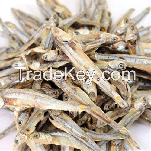 Vietnamese Dried Anchovy Fish Wholesale With Suitable Price