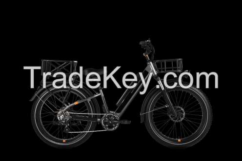 Brand New RadRover 6 Plus Electric Fat Tire Bike For Sale Worldwide