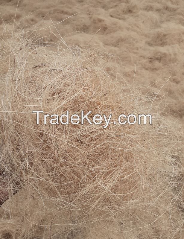 Coco Fibre, Coir Fibre