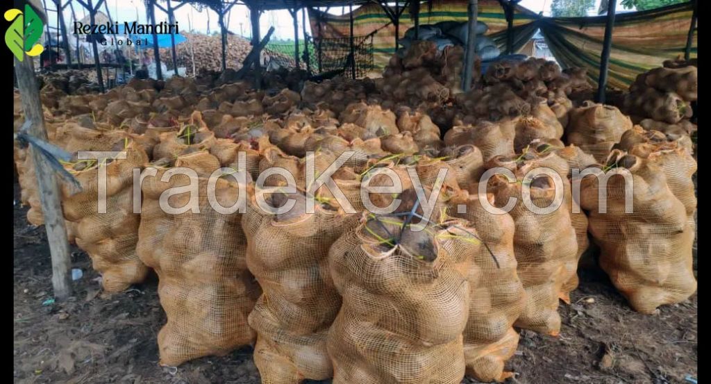 Cheapest Wholesale Semi Husked Coconut Price