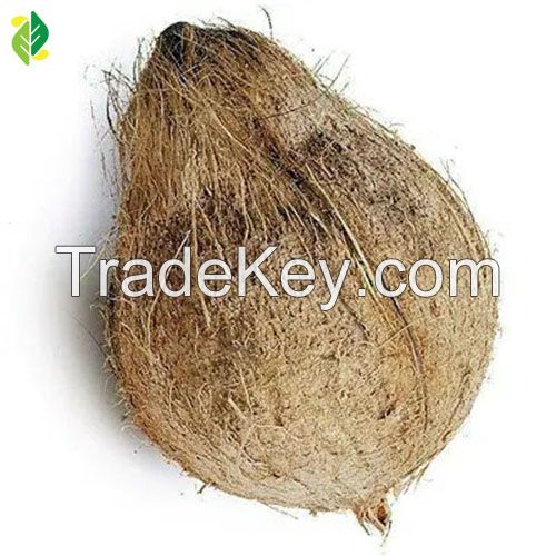 Cheapest Wholesale Semi Husked Coconut Price