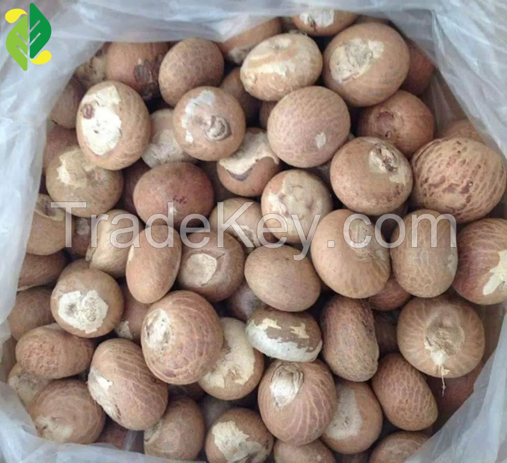 Wholesale Price of Indonesian Split Betel Nuts