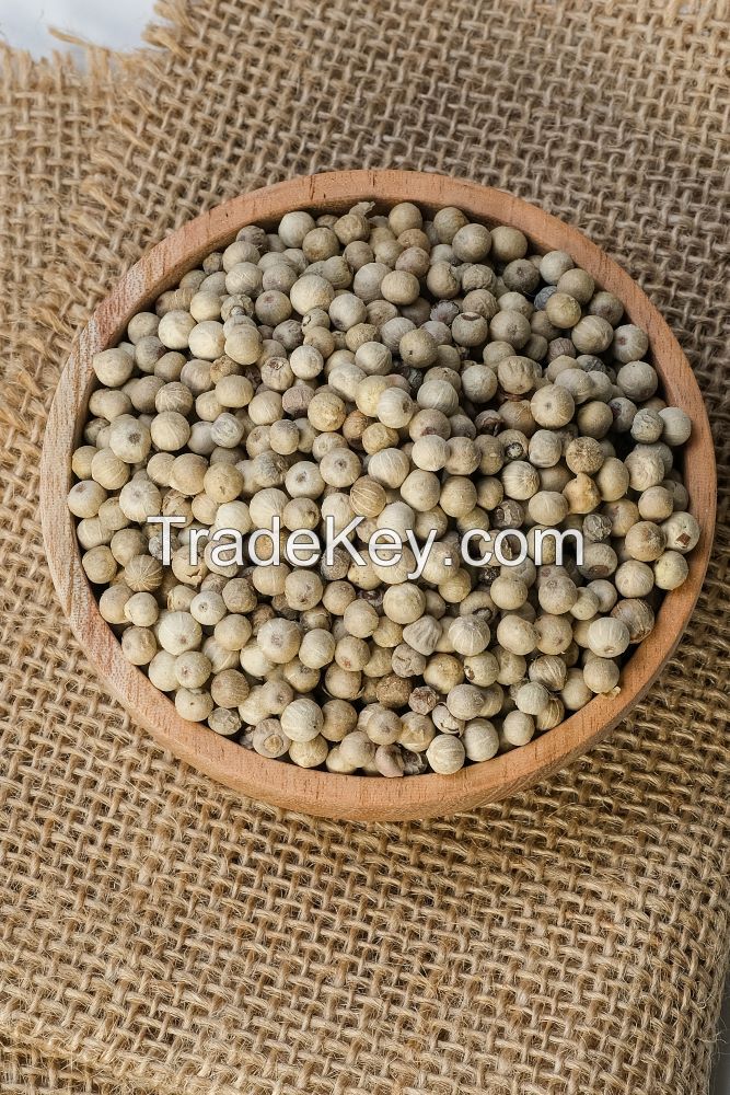 White Pepper