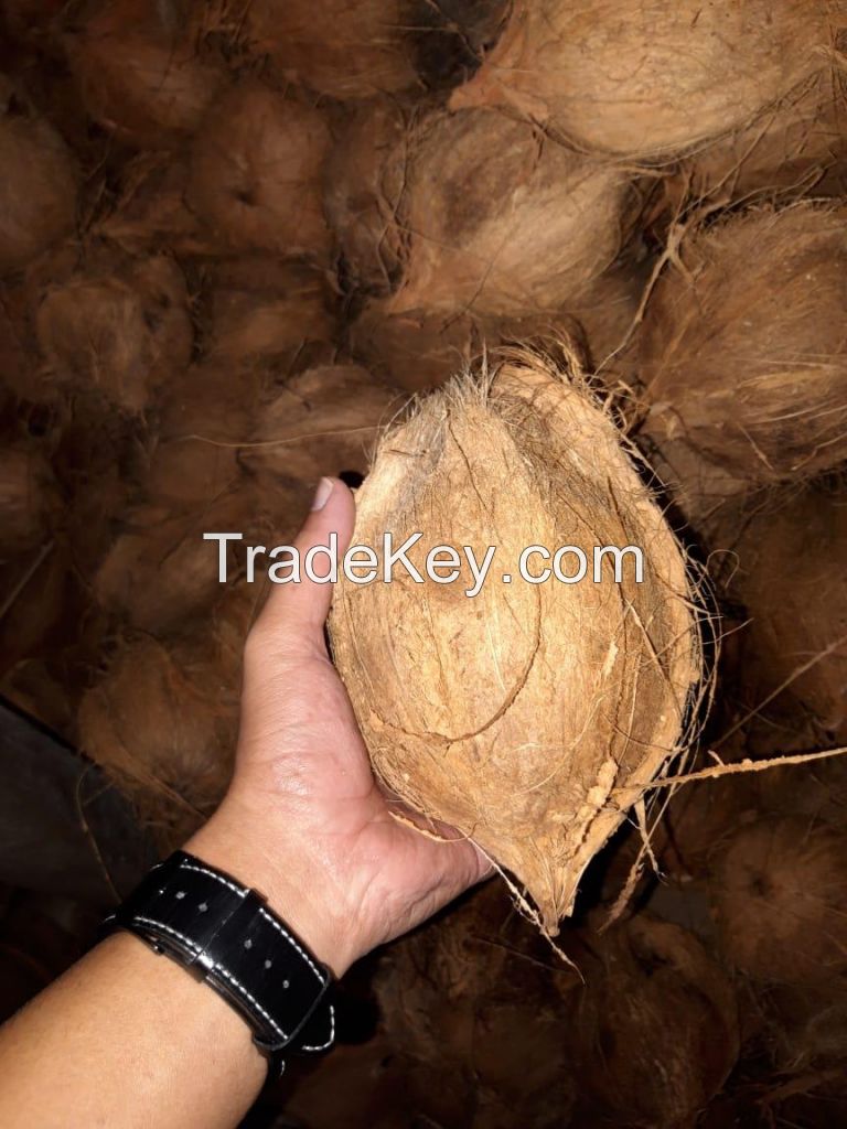 fresh coconut,Betel Nuts,white copra,coconut Shell Charcoal