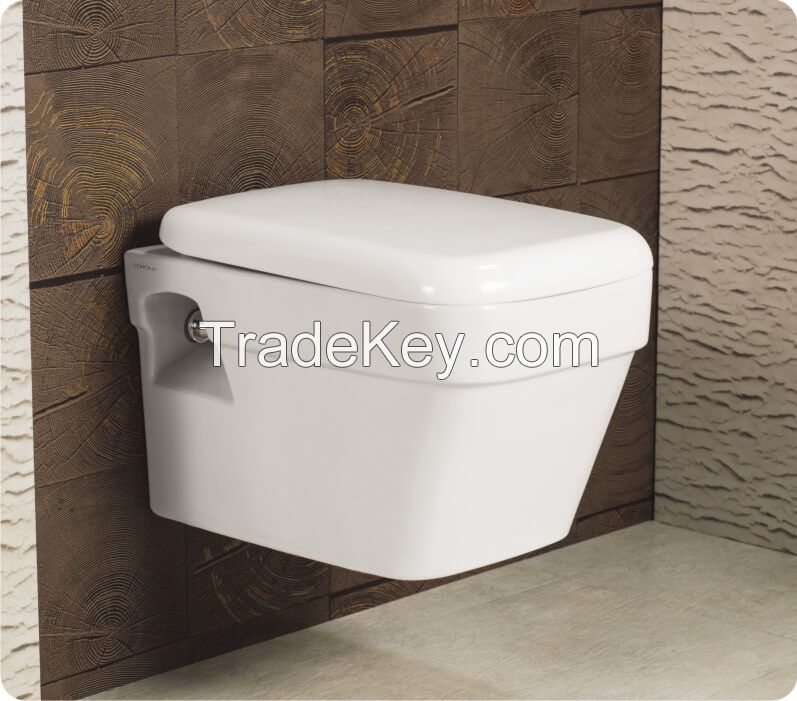 Wall hung water closet