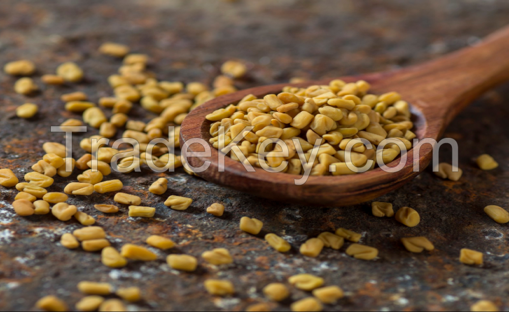 Fenugreek