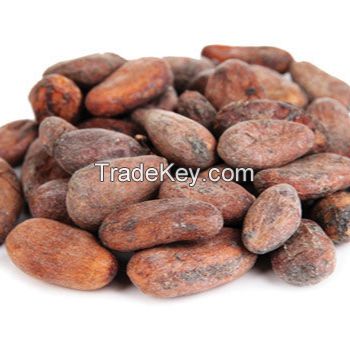 Cocoa Beans Dried Raw &amp; Fermented Cacao