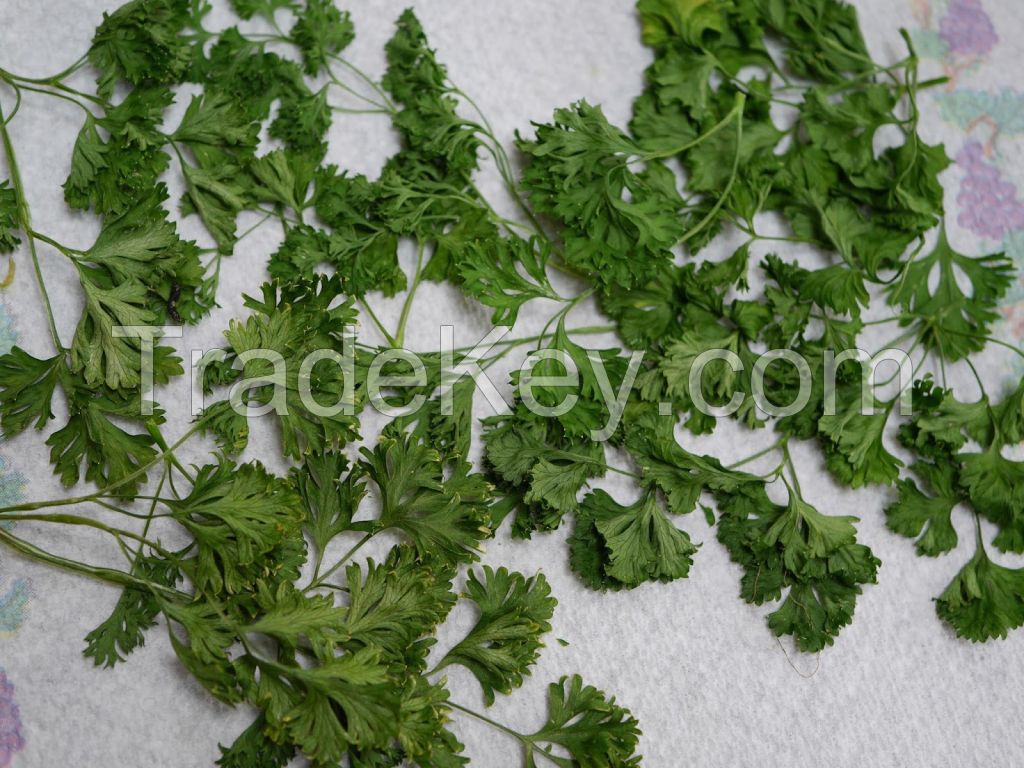 parsley