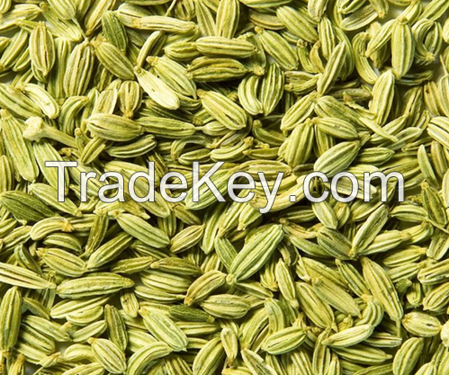 Fennel seeds