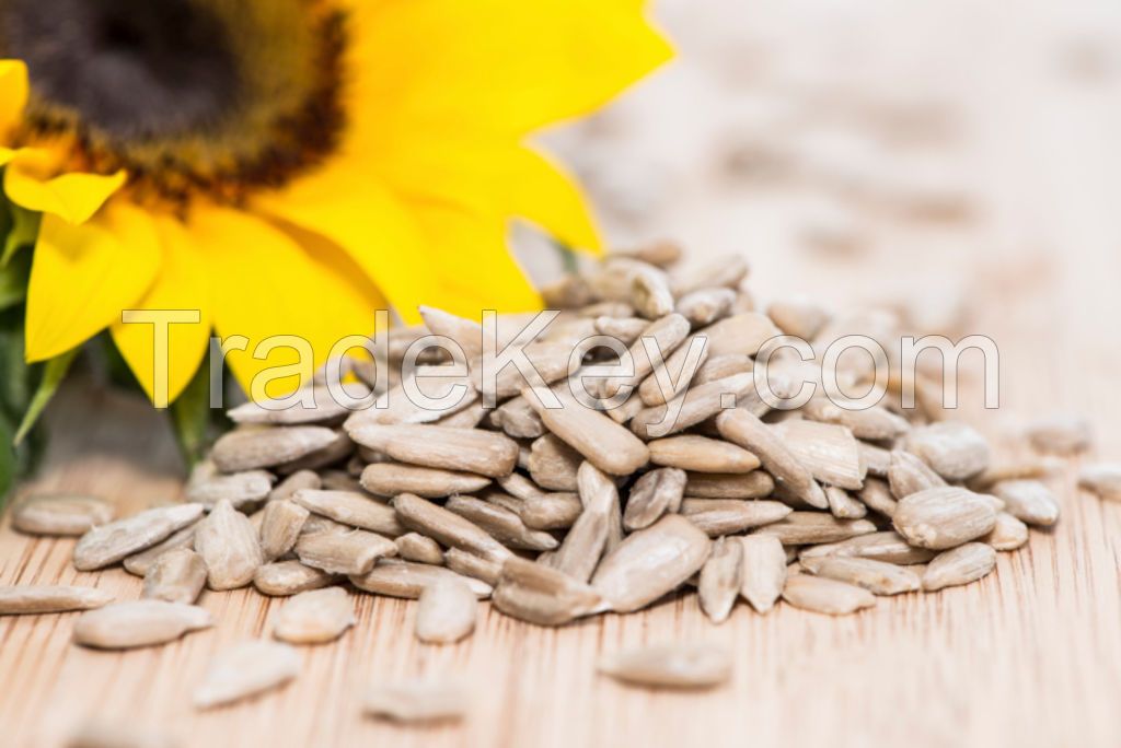 hulled sunflower kernels