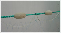 KINGSKIWI NETTING