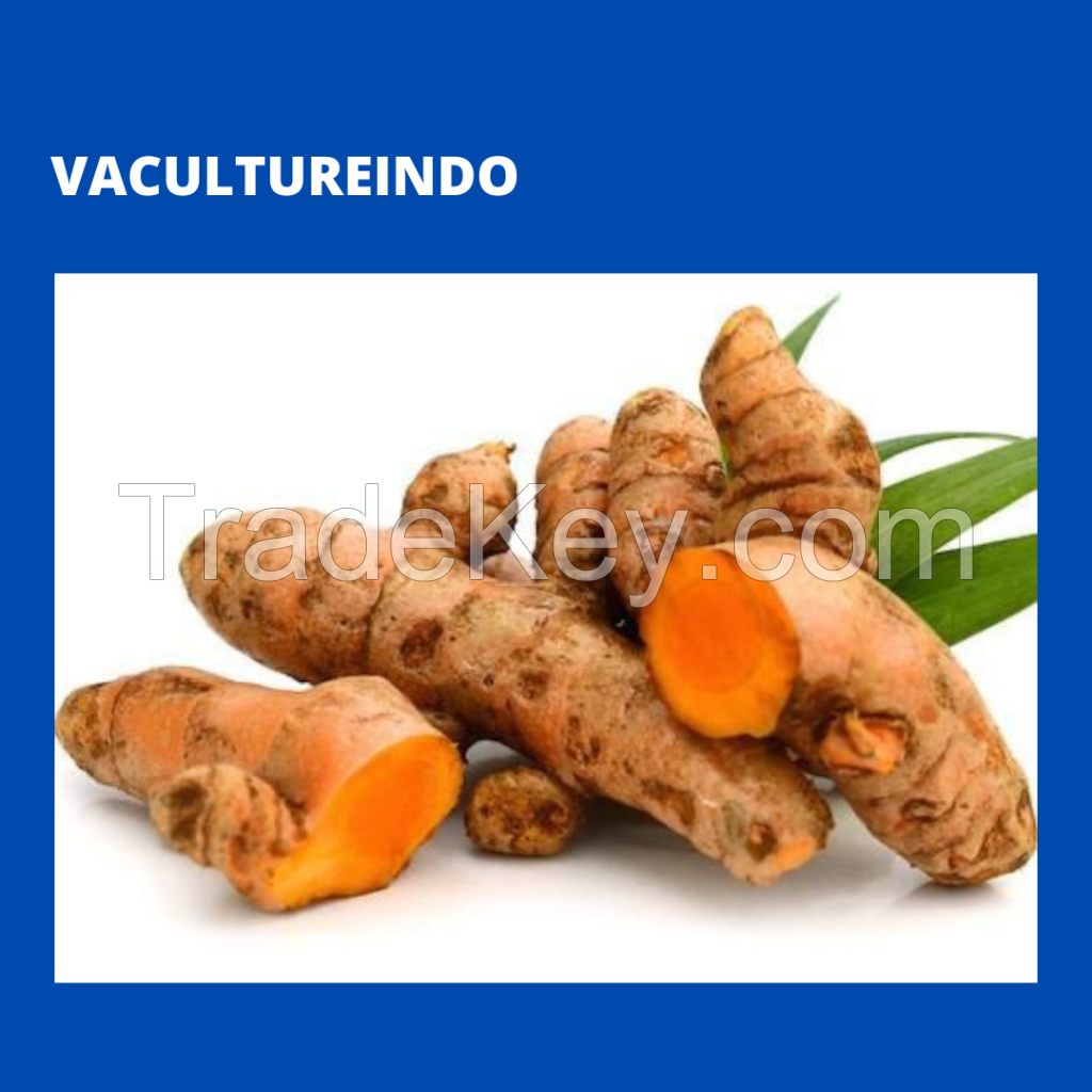 fresh turmeric