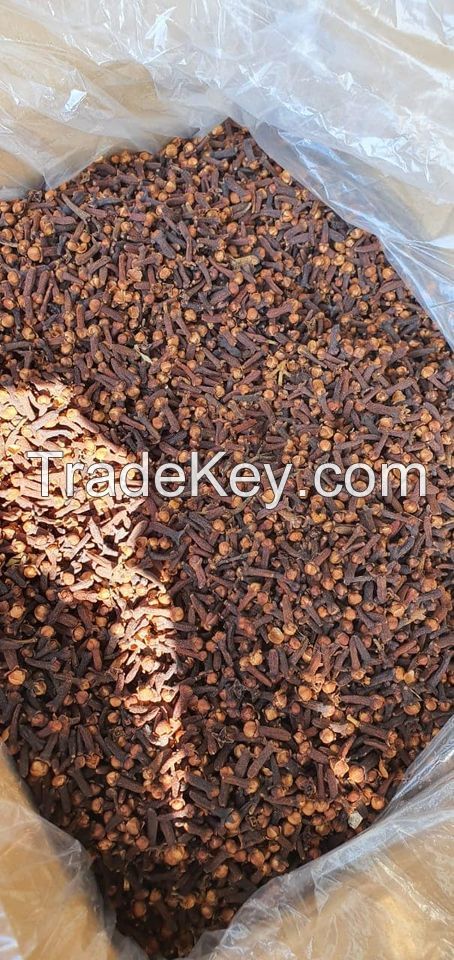 Spices Like Cloves,Cinnamon,Blackpepper,Ginger,Cardamom,Turmeric