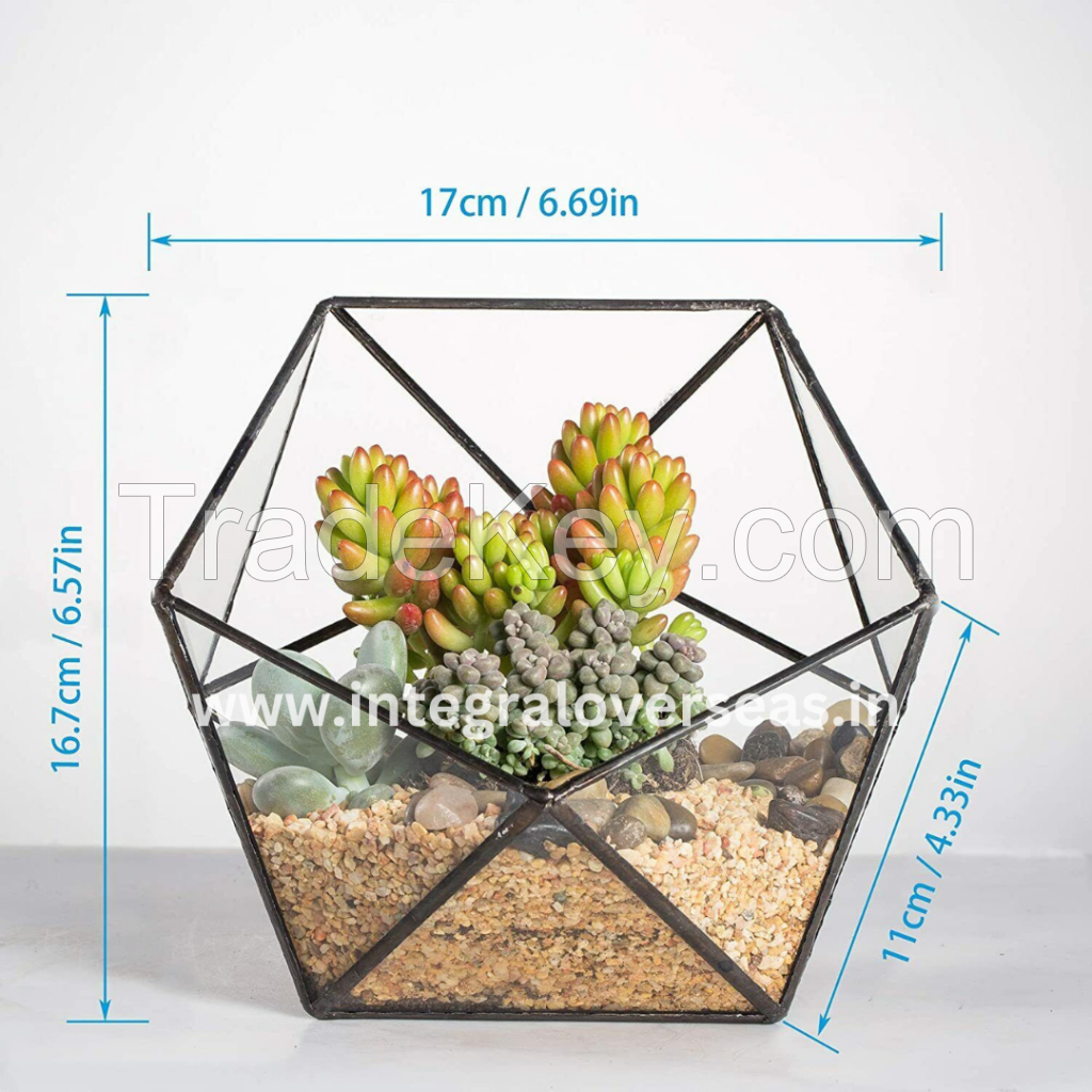 terrarium