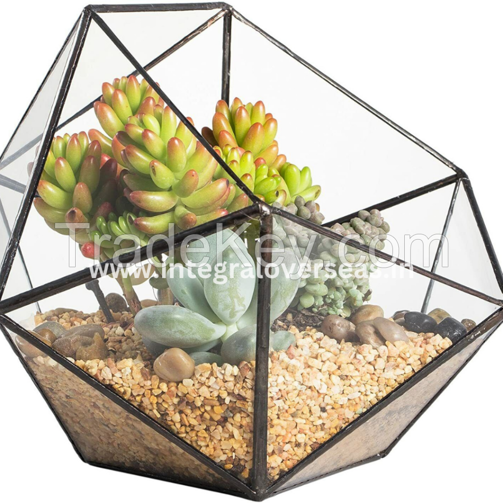 terrarium