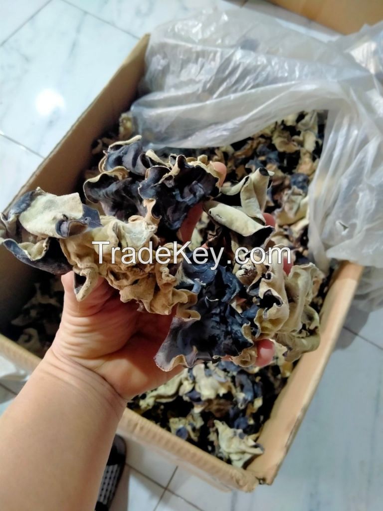 Wood Ear Mushroom/ Tree Ear Mushroom whatsapp +84 3 88 573 259