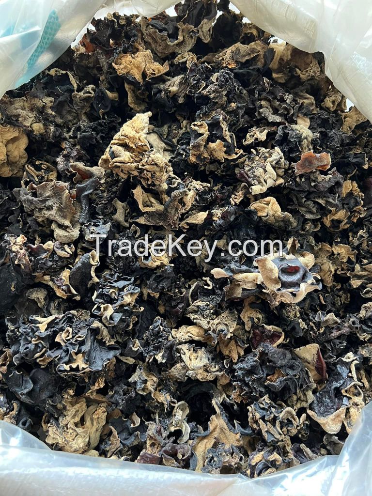 Wood Ear Mushroom/ Tree Ear Mushroom whatsapp +84 3 88 573 259