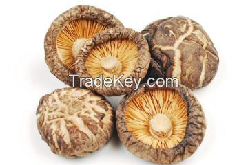 Dried Shiitake Mushrooms