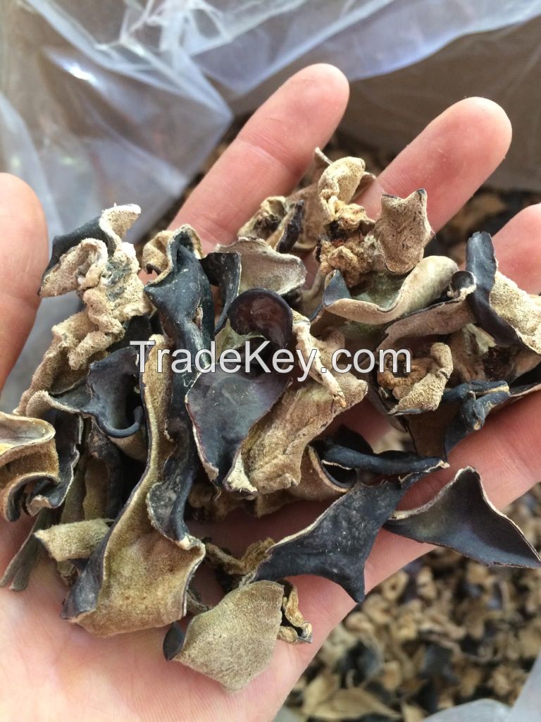 Wood Ear Mushroom/ Tree Ear Mushroom whatsapp +84 3 88 573 259