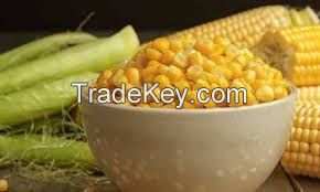 CORN