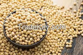 SOYA BEANS