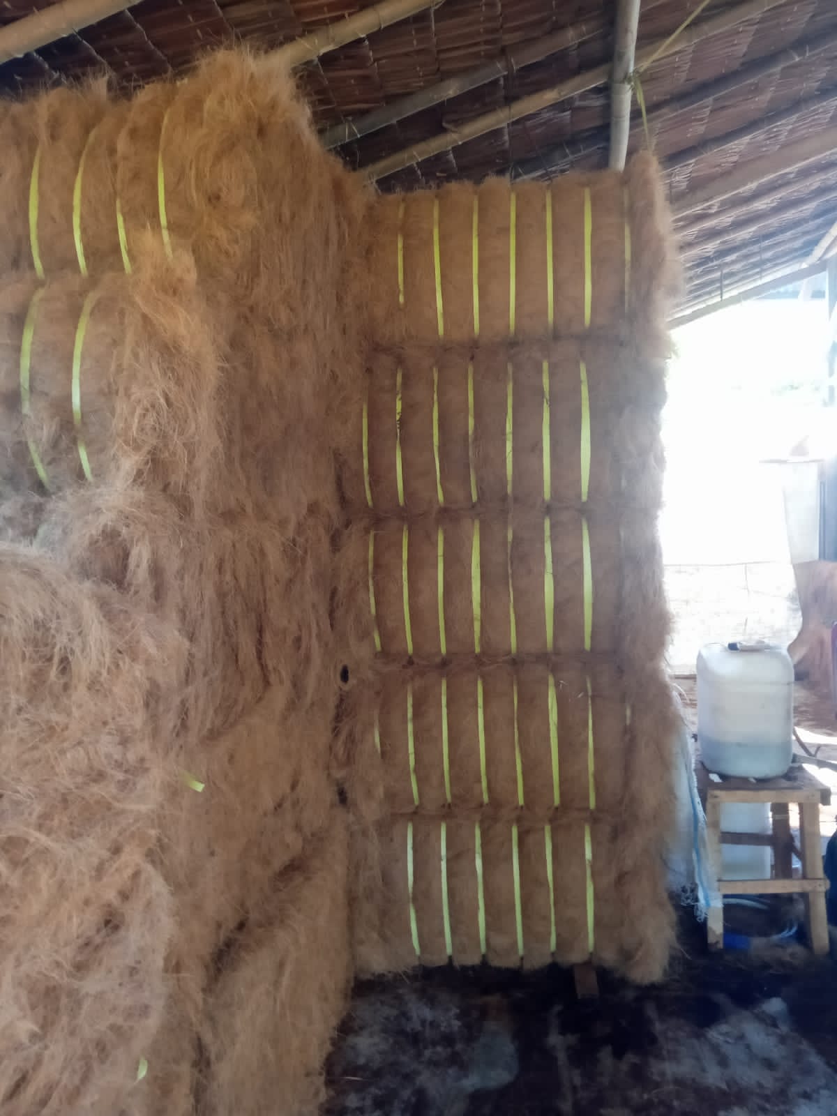 Coconut Fiber
