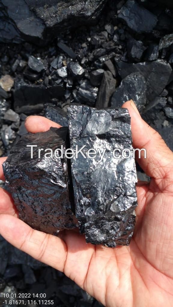 Steam Coal