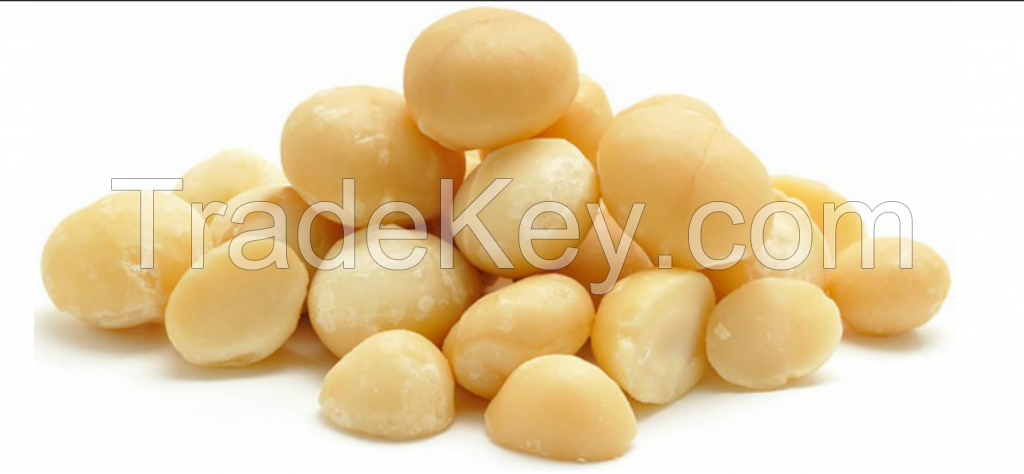 MACADAMIA NUTS AND KERNEL