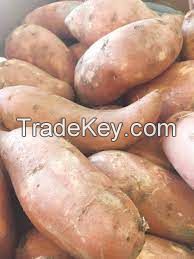 Sweet potatoes 