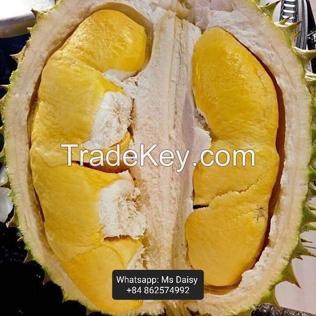 SUPER FRESH DURIAN COMPETITIVE 2022 - VIETNAM -Ms Daisy ( WhatsApp: +84 862574992)