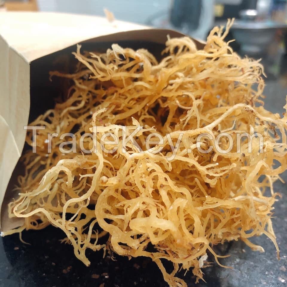 SEA MOSS VIET NAM DRIED BROWN/YELLOW SEAMOSS VIET NAM MANUFACTURE COMPETITIVE