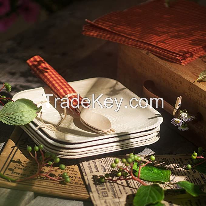 Vietnam Factory For Wholesale Disposable Wooden Cutlery Products At Factory Prices