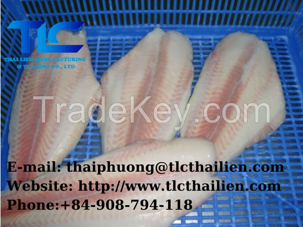 FROZEN PANGASIUS FILLET (THAI LIEN COMPANY, Ms.Fiona : +84.908.794.118 )